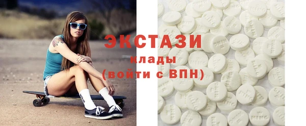 ECSTASY Бородино